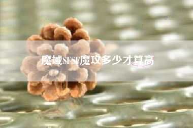 魔域SFSF魔攻多少才算高