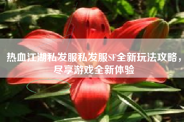 热血江湖私发服私发服SF全新玩法攻略，尽享游戏全新体验