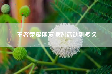 王者荣耀朋友派对活动到多久