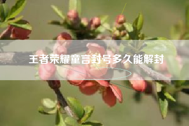 王者荣耀童言封号多久能解封