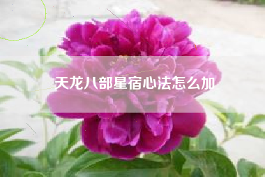 天龙八部星宿心法怎么加