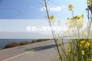 奇迹mu宠物哪里买