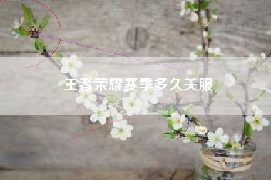 王者荣耀赛季多久关服