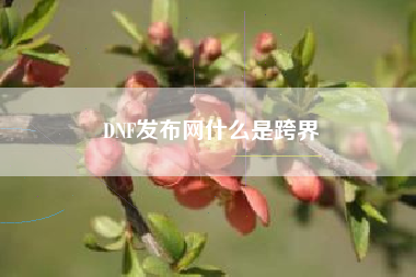 DNF发布网什么是跨界