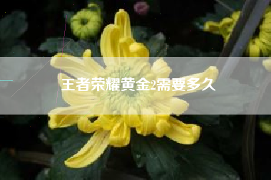王者荣耀黄金2需要多久