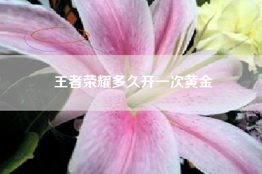 王者荣耀多久开一次黄金