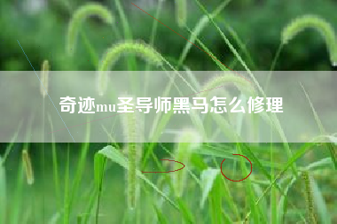 奇迹mu圣导师黑马怎么修理