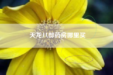 天龙八部药房哪里买