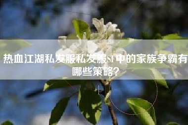 热血江湖私发服私发服SF中的家族争霸有哪些策略？