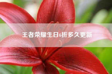 王者荣耀生日6折多久更新
