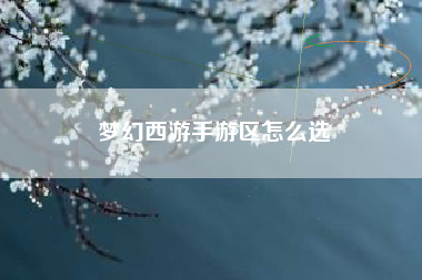 梦幻西游手游区怎么选