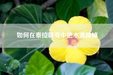 如何在泰拉瑞亚中把水清除掉