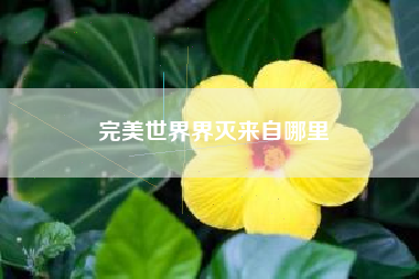 完美世界界灭来自哪里