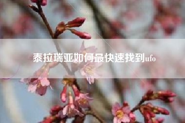 泰拉瑞亚如何最快速找到ufo