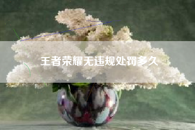 王者荣耀无违规处罚多久