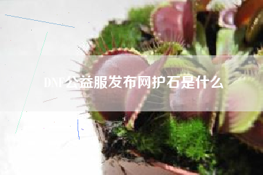DNF公益服发布网护石是什么