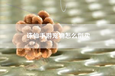 诛仙手游宠物怎么倒卖