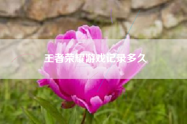 王者荣耀游戏记录多久