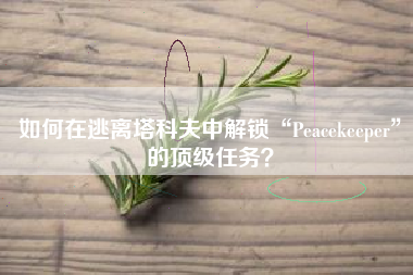 如何在逃离塔科夫中解锁“Peacekeeper”的顶级任务？