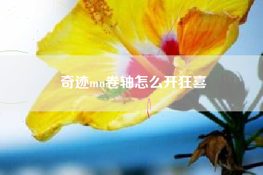 奇迹mu卷轴怎么开狂喜