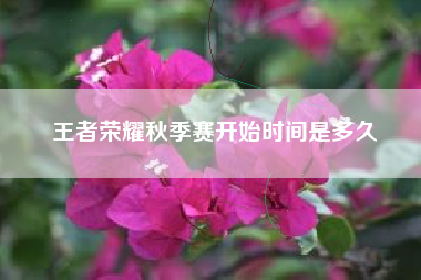 王者荣耀秋季赛开始时间是多久