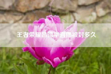 王者荣耀吕德华直播被封多久