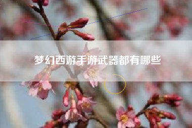 梦幻西游手游武器都有哪些