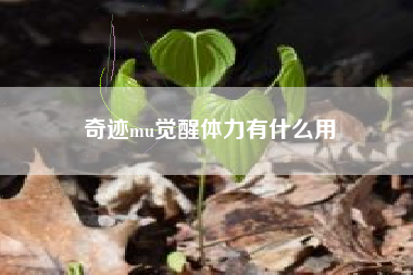 奇迹mu觉醒体力有什么用