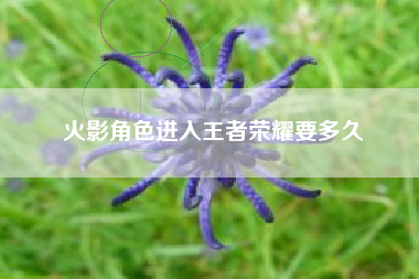 火影角色进入王者荣耀要多久