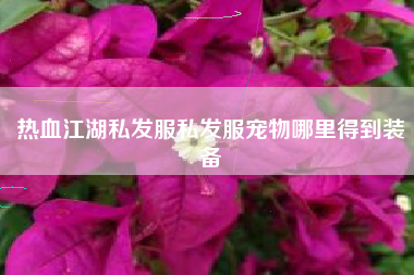 热血江湖私发服私发服宠物哪里得到装备