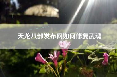 天龙八部发布网如何修复武魂