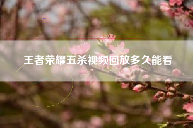 王者荣耀五杀视频回放多久能看