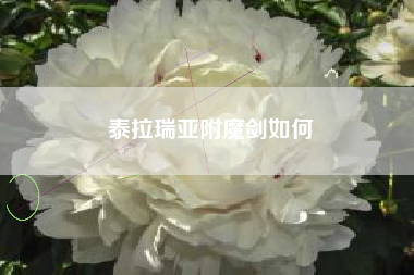 泰拉瑞亚附魔剑如何