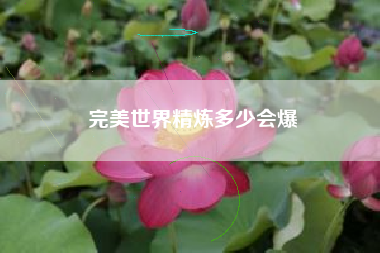 完美世界精炼多少会爆