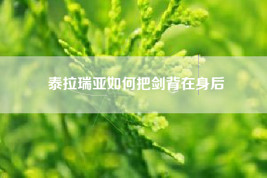 泰拉瑞亚如何把剑背在身后