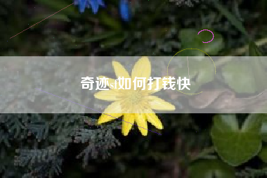 奇迹sf如何打钱快