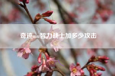 奇迹mu智力战士加多少攻击