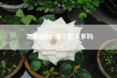 完美国际2哪个区人多吗