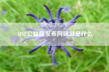 DNF公益服发布网端游是什么