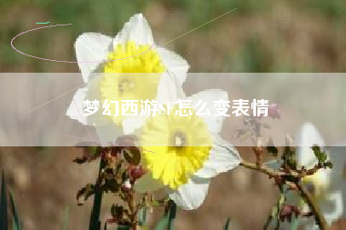 梦幻西游SF怎么变表情
