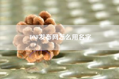 DNF发布网怎么用名字
