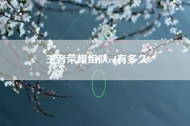 王者荣耀组队cd有多久