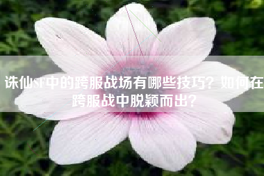 诛仙SF中的跨服战场有哪些技巧？如何在跨服战中脱颖而出？