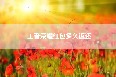 王者荣耀红包多久返还