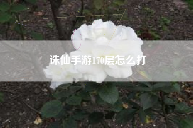 诛仙手游170层怎么打