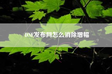 DNF发布网怎么消除增幅