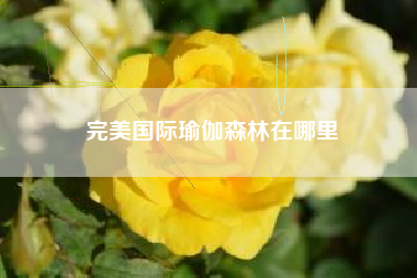 完美国际瑜伽森林在哪里