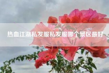 热血江湖私发服私发服哪个景区最好