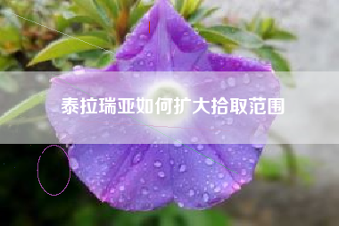 泰拉瑞亚如何扩大拾取范围