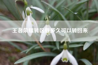 王者荣耀转区要多久可以转回来